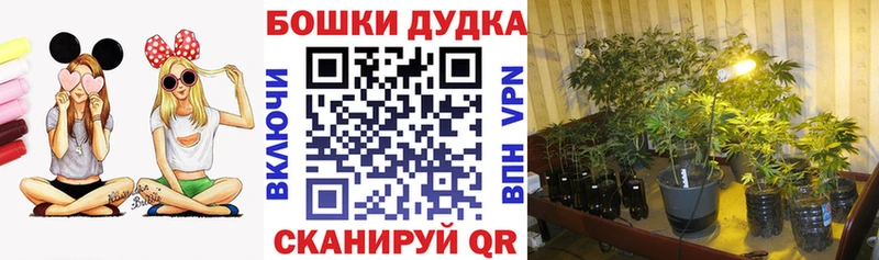 ГАШИШ Новоуральск