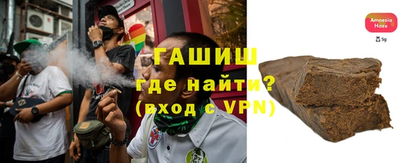 индика Балахна